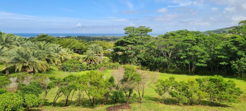 réserve naturelle, nature reserve mauritius, terrain dans la nature, heritage bel ombre, bel ombre nature reserve