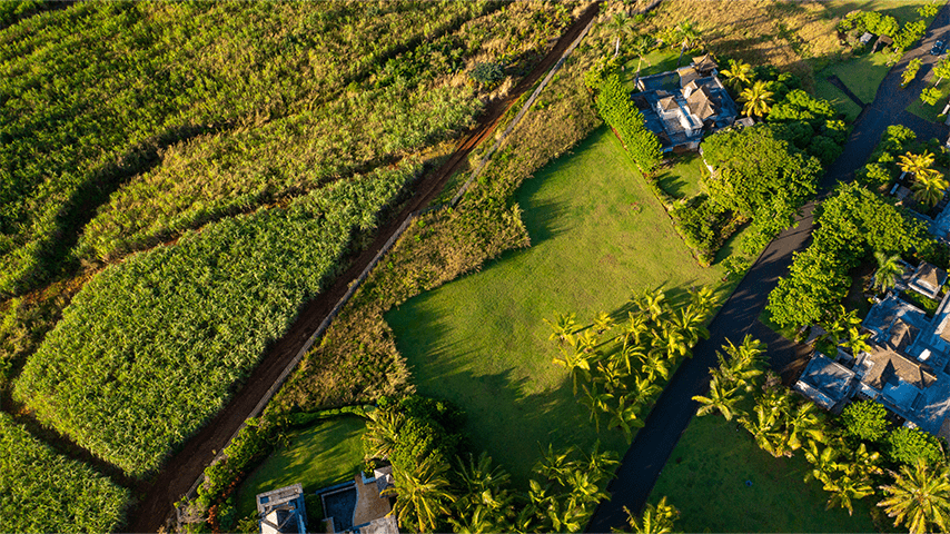 bel ombre, parcelle pour villa, plot of land for villa, premium residential plot, sugar cane fields, coconut trees